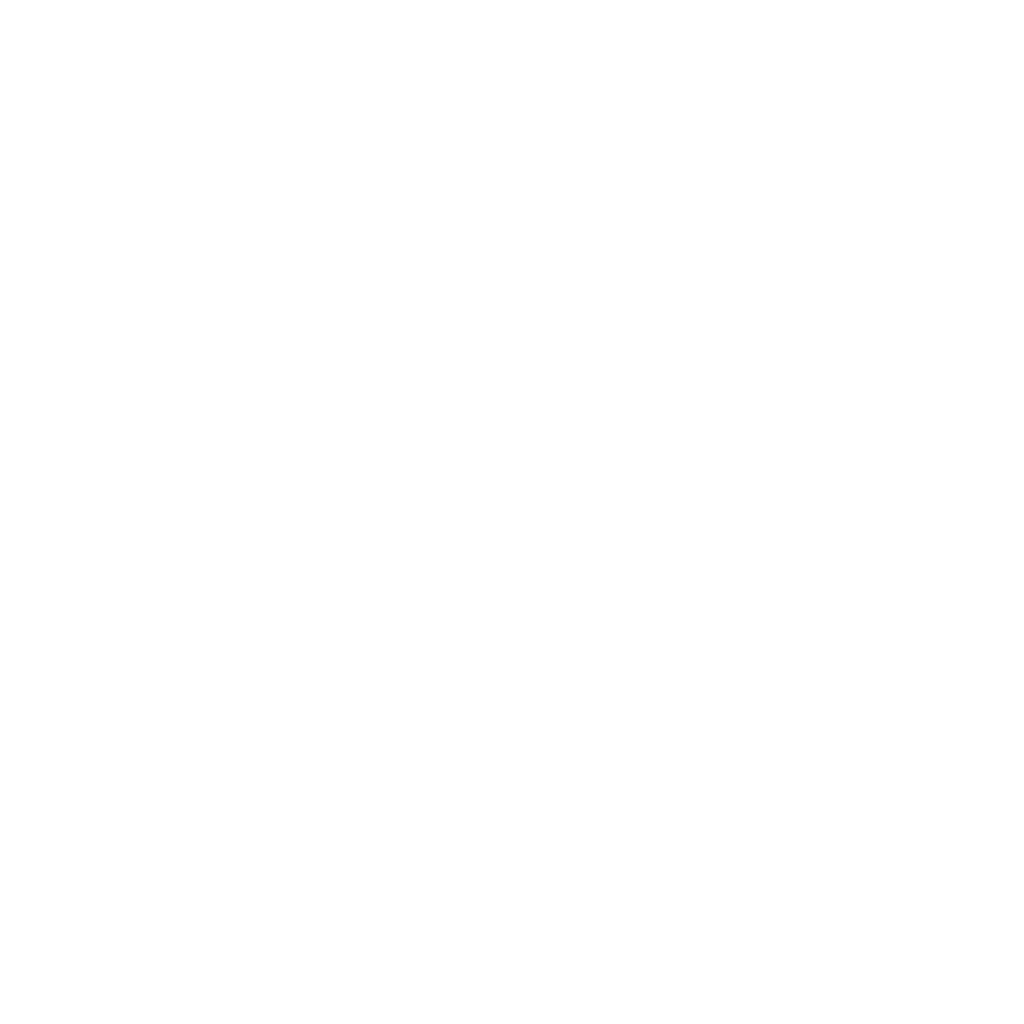 BRAYZ logo
